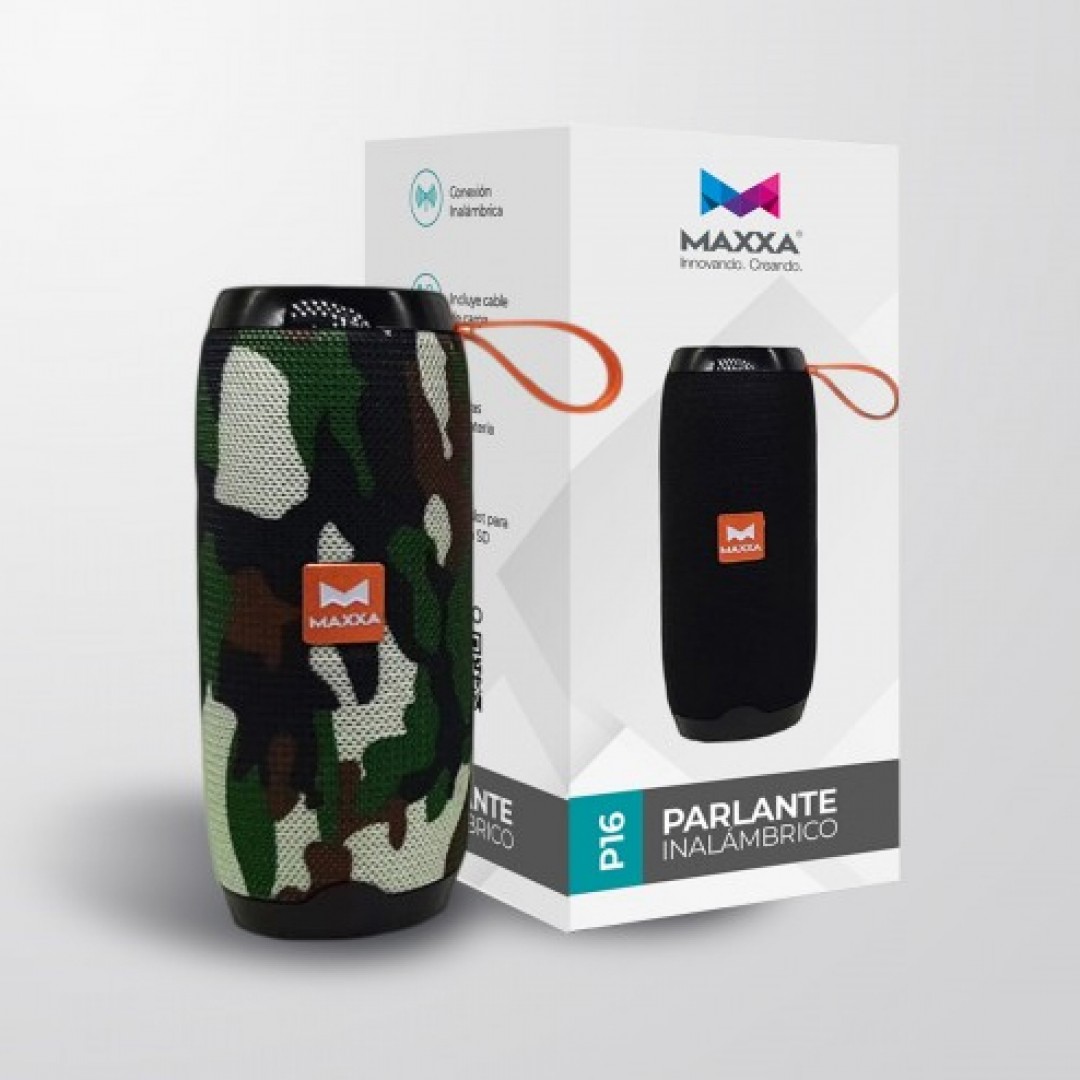 P16 | PARLANTE INALAMBRICO